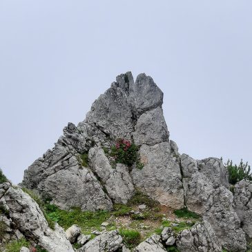 Urlaubszeit, Entdeckungszeit